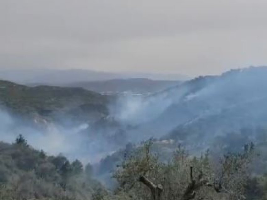 Riaktivizohet zjarri në Kodrat e Peshtanit në Fier! Flakët të favorizuara nga era përfshijnë zonën pranë antenave televizive dhe ato celulare