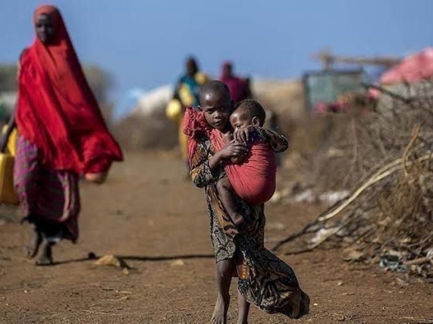 Zimbabve, mbi 7 milionë njerëz kanë nevojë për ndihmë ushqimore pas thatësirës së shkaktuar nga El Nino