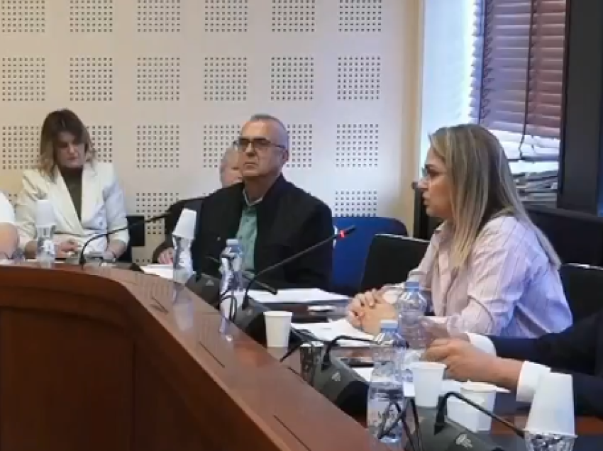 Rregullorja e punës së komisionarit të FSK’së, Selimi: Gjuha shqipe është e bastarduar në disa nene