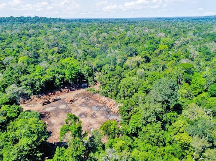 Amazona braziliane përjetoi sasinë më të vogël të shpyllëzimit në 9 vitet e fundit