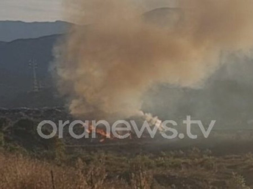  Qyteti mbulohet nga tymi kancerogjen, i vihet flaka incineratorit, Sula: Katastrofë mjedisore në Elbasan!