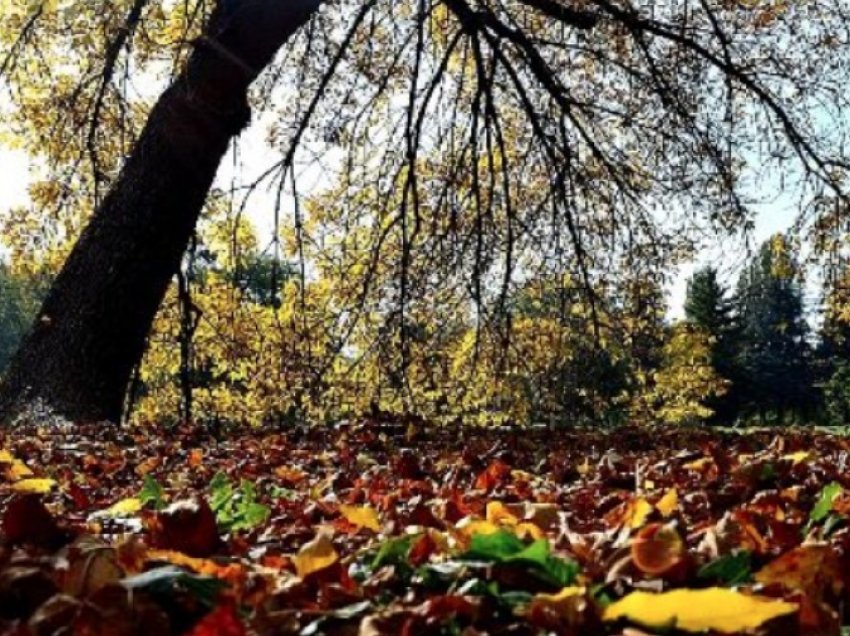 Moti sot në Maqedoninë e Veriut