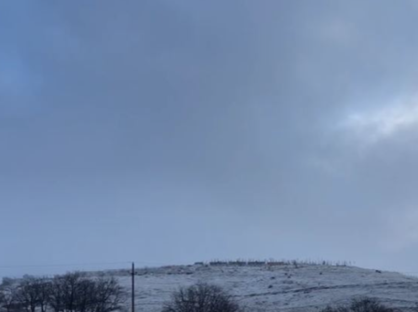 Korça mbulohet nga bora