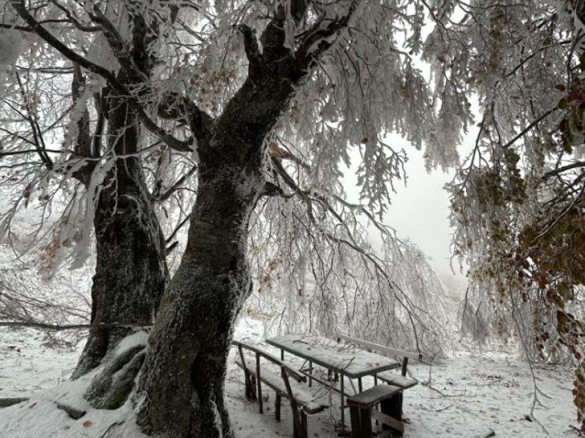 Bora zbukuron fshatin Tugjec të Kamenicës