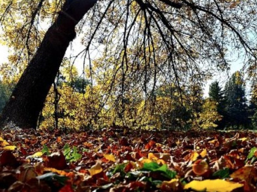 Moti sot në Maqedoninë e Veriut