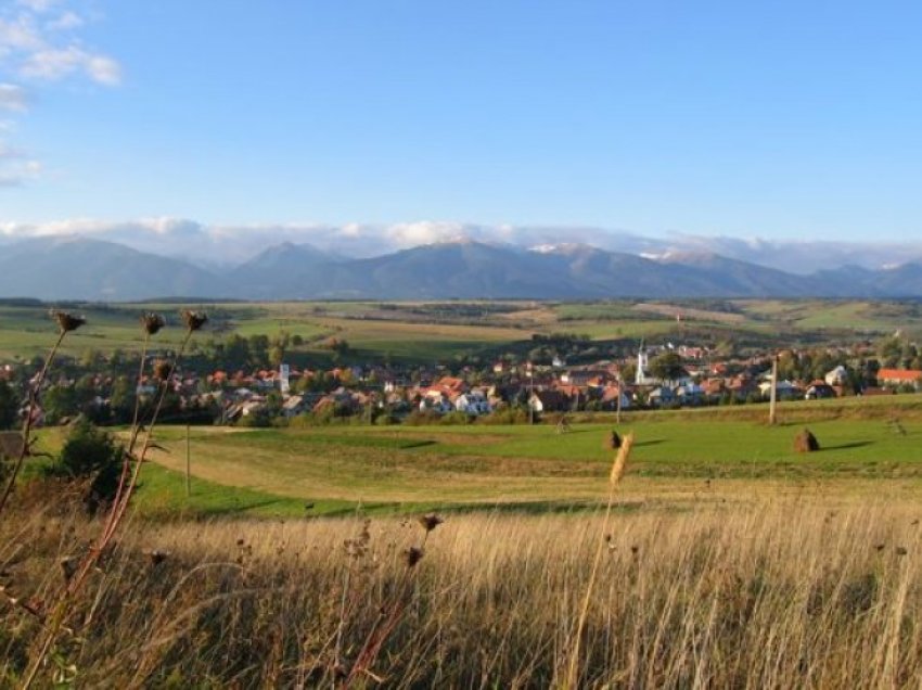 Ariu mbyt një 55-vjeçar derisa po mblidhte kërpudha në pyjet e Sllovakisë