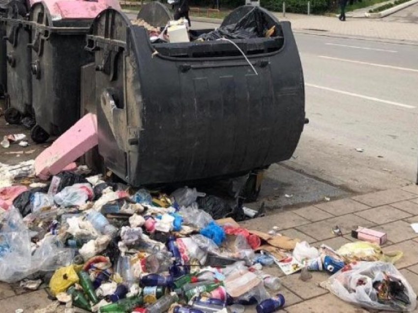 Inspektorati i mjedisit jetësor del në terren në Shkup, gjobiten 20 qytetarë për krijimin e deponive të egra