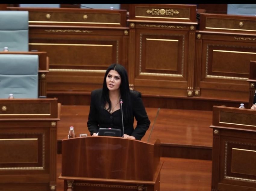 Krasniqi: Marrëveshja e MSA-së dhe ajo e Uashingtonit, dy nga më të rëndësishme për Kosovën