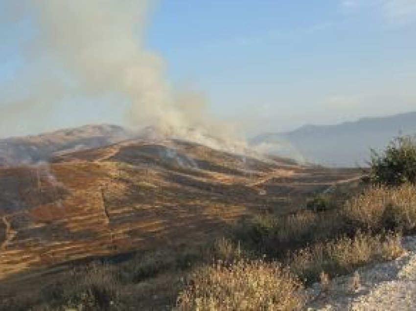 Zjarr i madh përfshin malin e Shashicës, përfshihet nga flakët hapësira pyjore, rrezikohen bagëtitë