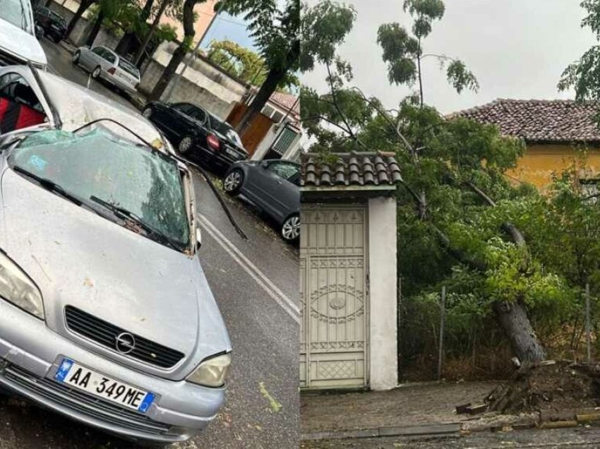 Situatë apokaliptike në Shkodër, reshjet e dendura të shiut rrëzojnë pemët dhe shkatërrojnë automjetet