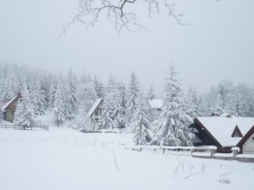 Ulje e ndjeshme e temperaturave në RMV