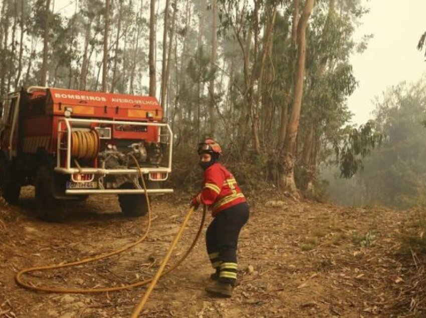 Zjarret përfshijnë Portugalinë, 5 viktima dhe 182 të plagosur, mijëra hektarë të djegur