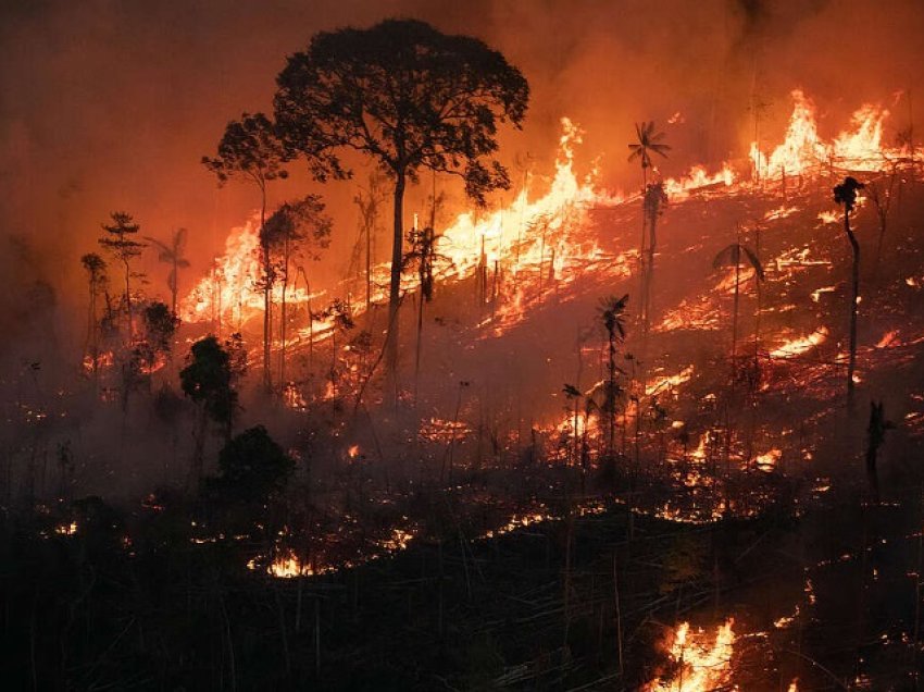 Brazil, zjarret shkatërrojnë 11 milionë hektarë pyje dhe toka bujqësore