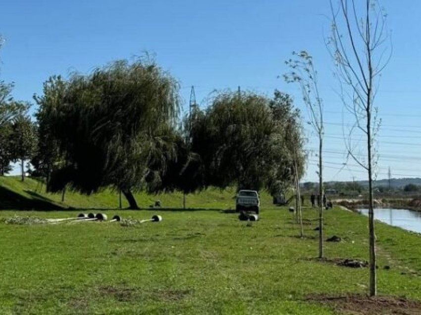 Mbillen shelgje afër lumit Silnica, buzë shëtitores “Enver Zymeri” në Vushtrri