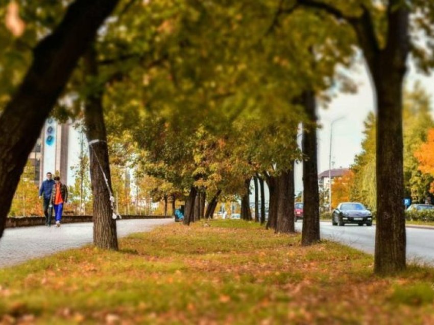 Moti për javën e parë të tetorit: Priten reshje të dendura shiu