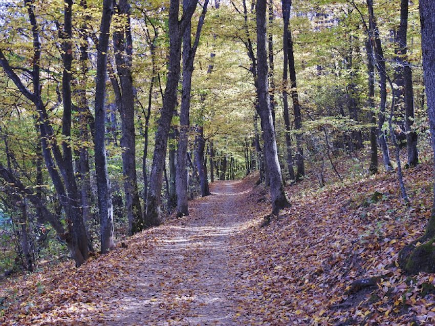 Brymë dhe mjegull- Kështu parashihet moti për nesër