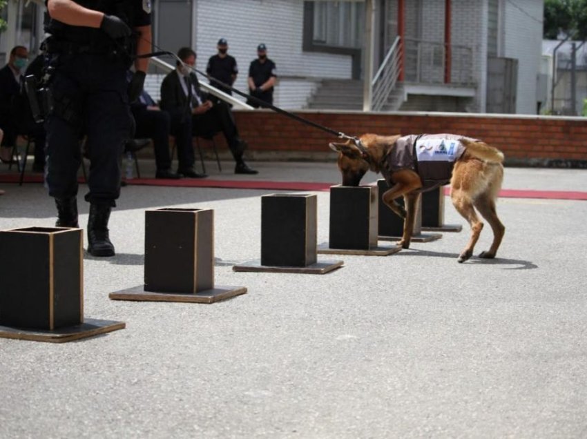 I vrari në Ferizaj u gjet në mal nga qentë e policisë 