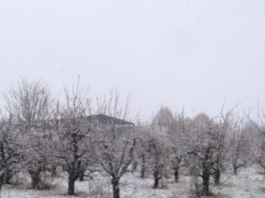 Mot i ftohtë në Maqedoni, këtë javë parashihen temperatura deri në -13 gradë