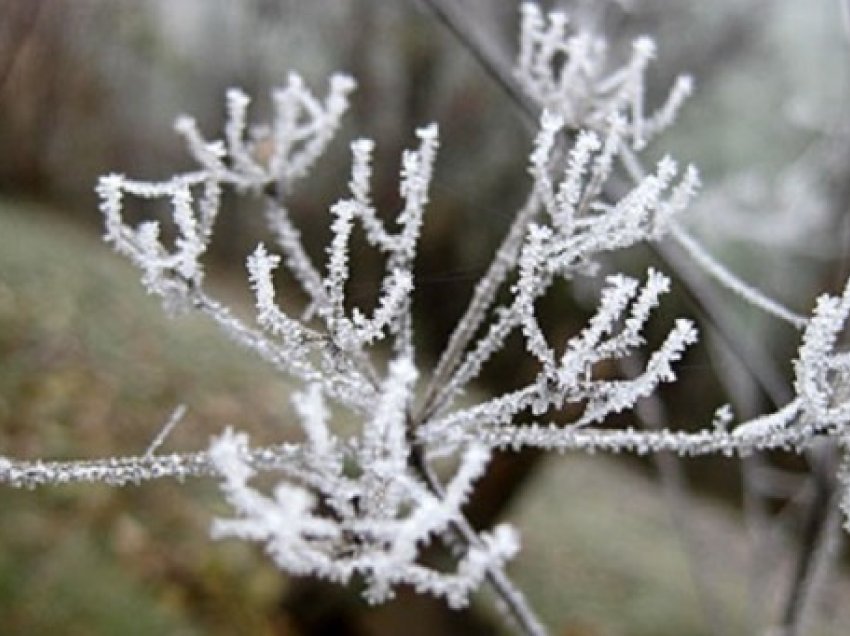 Temperatura deri në -6°C! Parashikimi i motit për sot, ja zonat më të ftohta