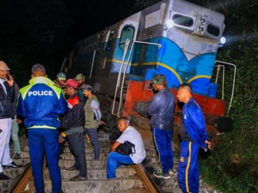 Gjashtë elefantë mbetën të ngordhur pasi u goditën nga treni në Shri Lanka