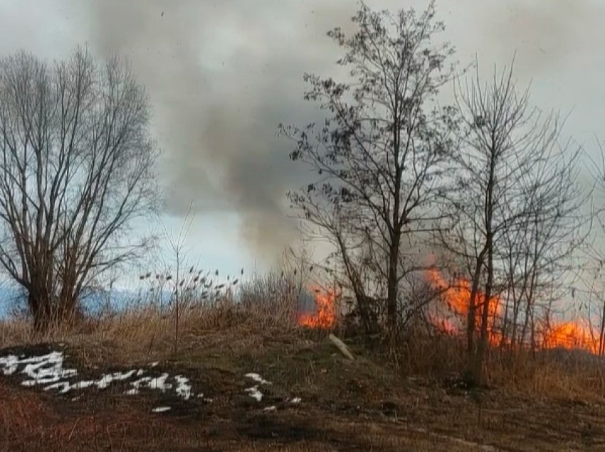 Digjen kallamishtet në bregun e Ohrit afër Strugës