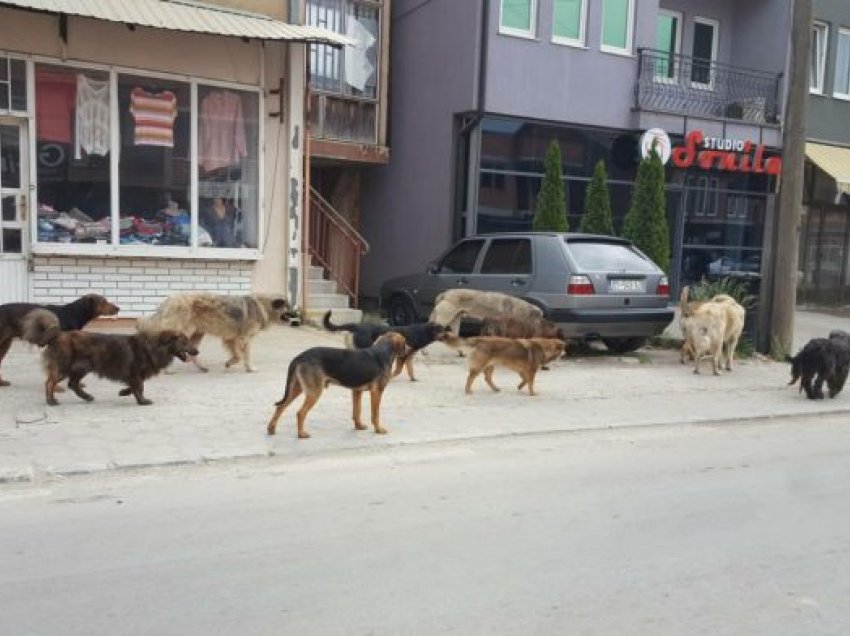 E ndjera në Podujevë ishte duke shkuar te djali i saj kur u ndoq nga qentë dhe vdiq nga frika