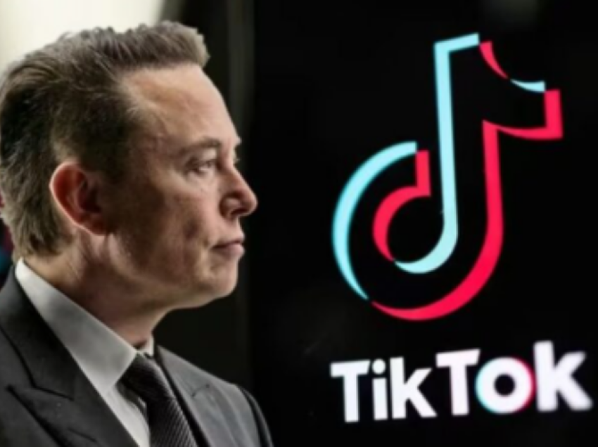 Elon Musk blen TikTok?