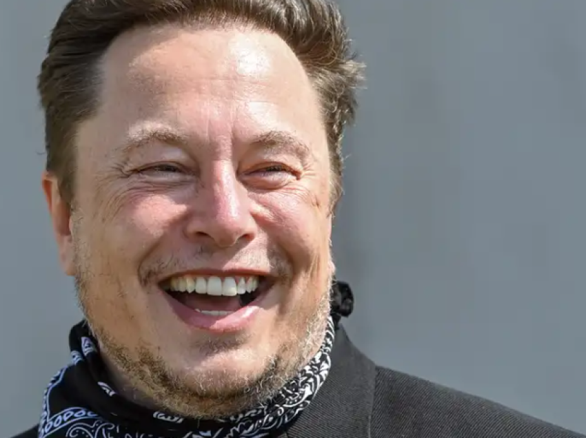 Elon Musk, AfD dhe politika gjermane