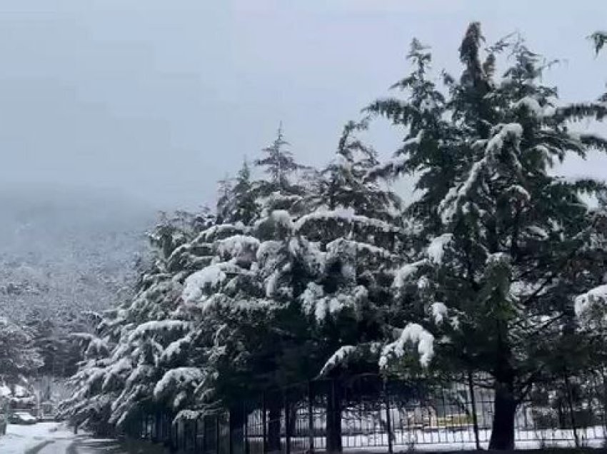 Kosova mbulohet nga bora, meteorologu Rugova: Temperaturat në zonat malore pritet të ulen deri në -12°C