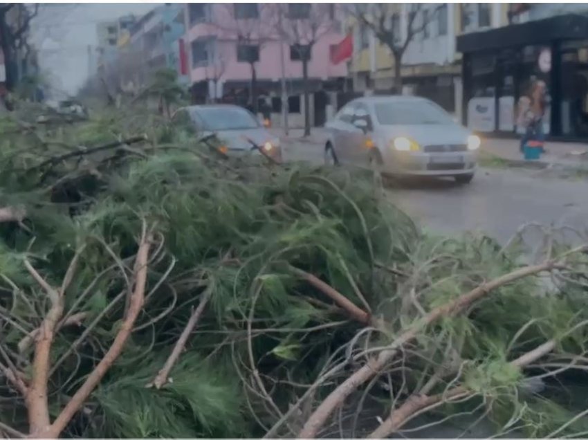  Reshjet dhe era e fortë, mijëra familje pa energji elektrike në Lezhë