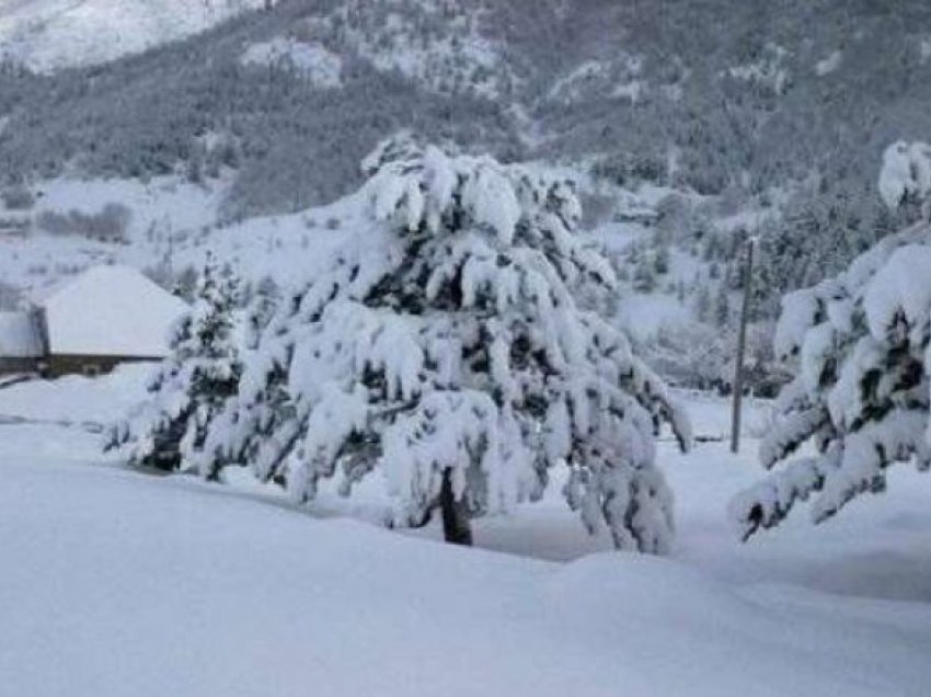 Ngricat në rrugë, 5 persona kanë kërkuar ndihmë në qendrën emergjente